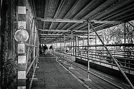 Bernhard Saalfeld - Geruest am Neumarkt